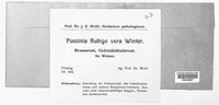 Puccinia recondita image